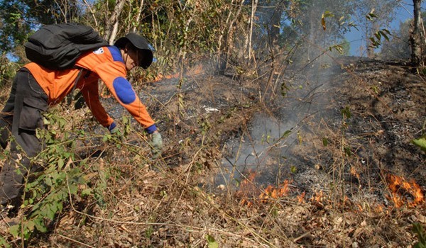 Illustrasi titik api di Provinsi Jambi
